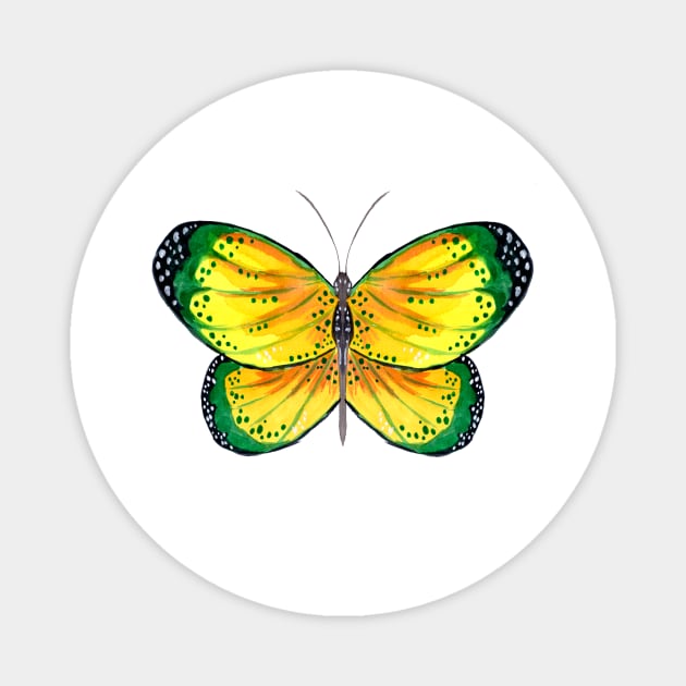 Yellow and Green Butterfly Magnet by ZeichenbloQ